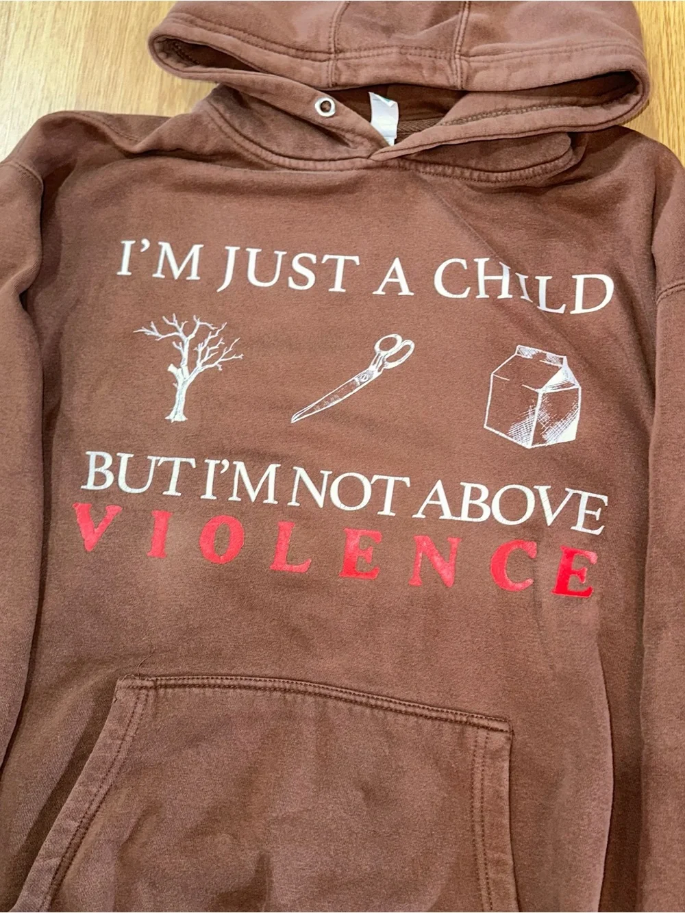 Ethel Cain Preachers Daughter Album Exclusive Hoodie - Picture 3 of 8